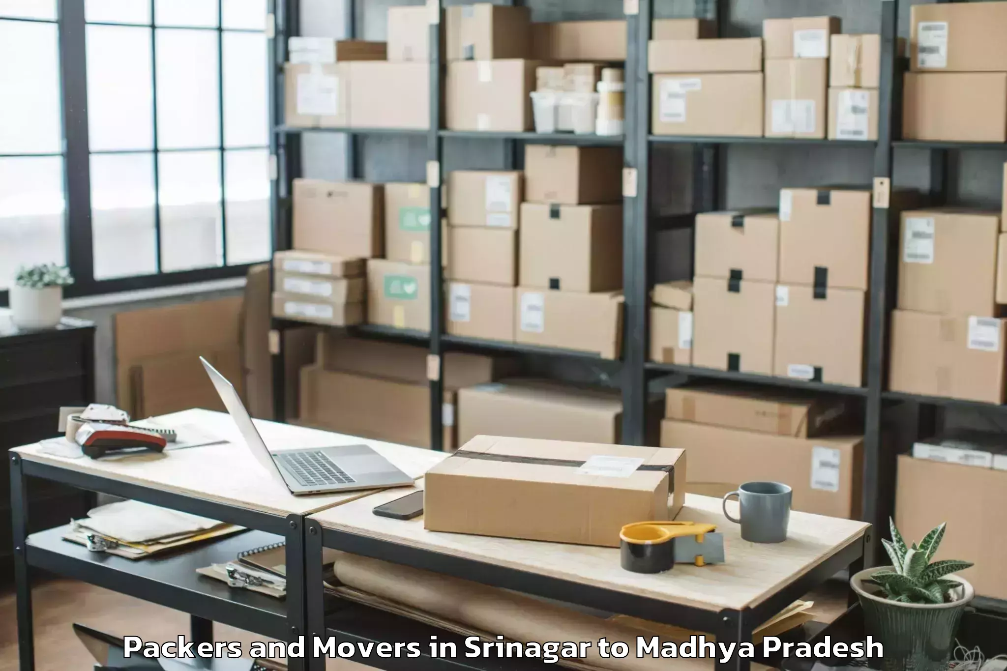 Professional Srinagar to Pichhore Packers And Movers